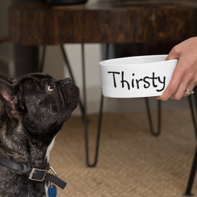 Écuelle Nourriture assoiffée humour drôle chien animal de  (Créateur téléchargé)