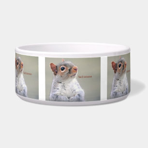 Écuelle Oliver Twist Squirrel