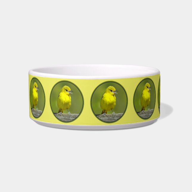 Écuelle Orchard Oriole - Photo originale (Gauche)