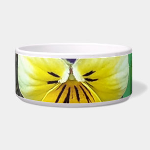 Écuelle Pansons violettes et jaunes