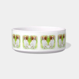 Écuelle papillon, papillon, papillon, papillon, papillon, 