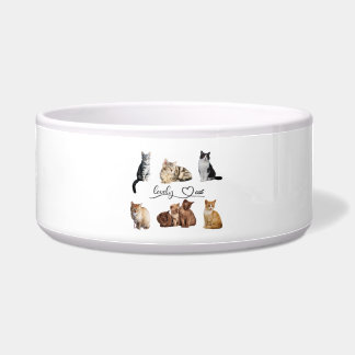 Écuelle paquet de chats, paquet de chats drôles