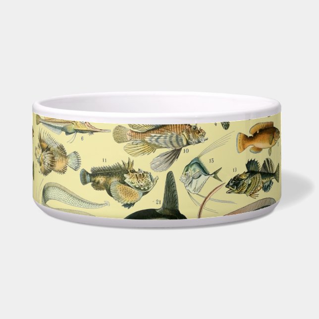 Écuelle Pêche scientifique vintage (Devant)