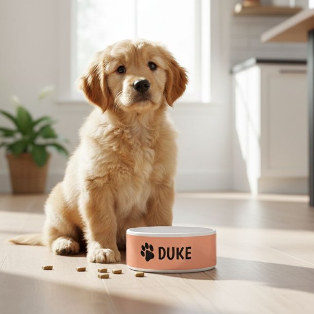 Écuelle Personalized dog bowl with pet's name  (Créateur téléchargé)