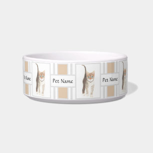 Écuelle Pet Bowl Avec Image Tabby Et Texte