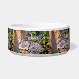 Écuelle Petit koala doux