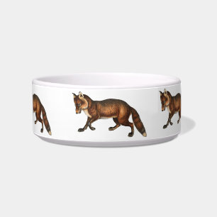 Écuelle Petit Renard