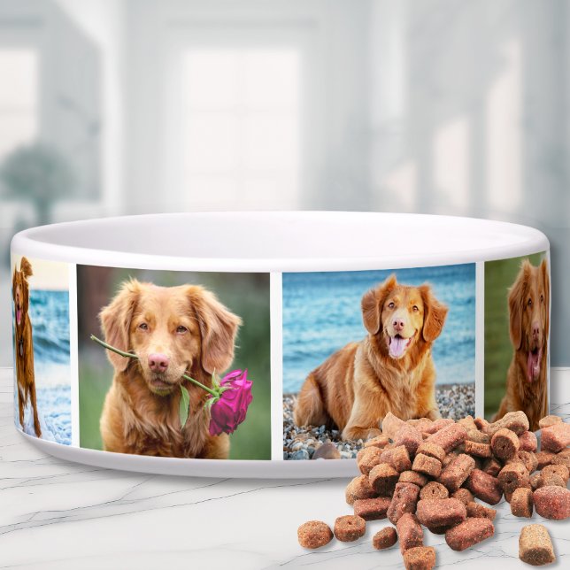 Écuelle Photo Collage Simple Élégant Animal de compagnie (Photo Collage Simple Elegant Picture Bowl)