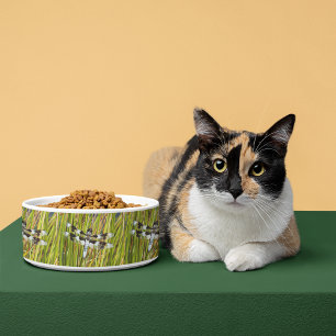 Écuelle Photo de libellule d'écrémage blanc commun