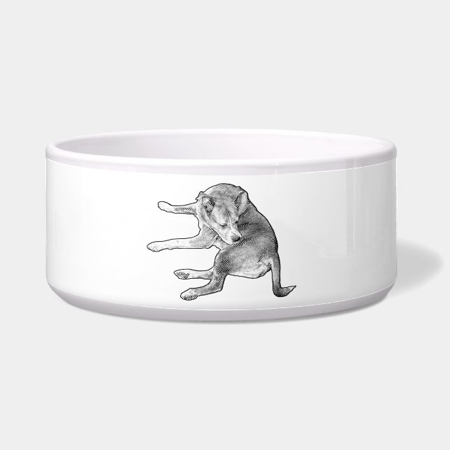 Écuelle Plaisir de Repas de Chien (Devant)