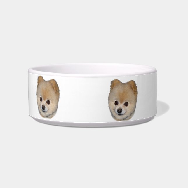 Écuelle Plat d'animal familier de chien de Pomeranian (Gauche)