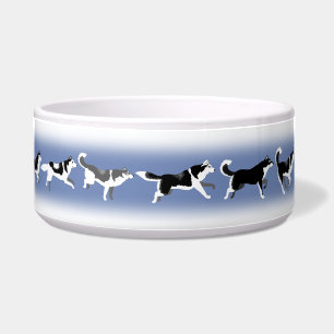 Écuelle Plat enroué d'aliments pour chiens de chien de