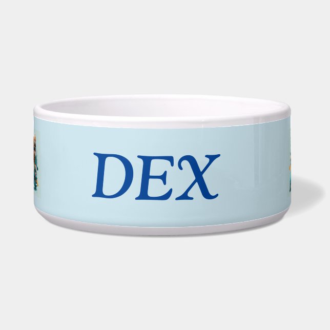 Écuelle Poussins motard (Devant)