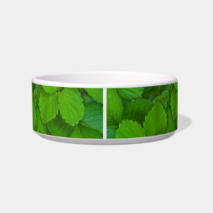 Écuelle Saint Basil Tulsi Green Mint Feuilles
