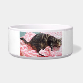 Écuelle Tailor Dave Ceramic Pet Bowl