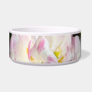 Écuelle Tulipes rose vif par jour ensoleillé