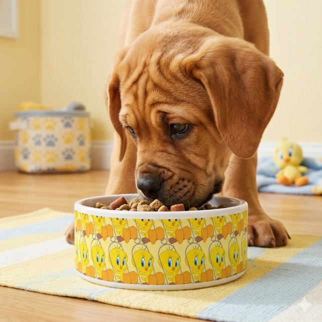 Écuelle Tweety Bowl (Créateur téléchargé)