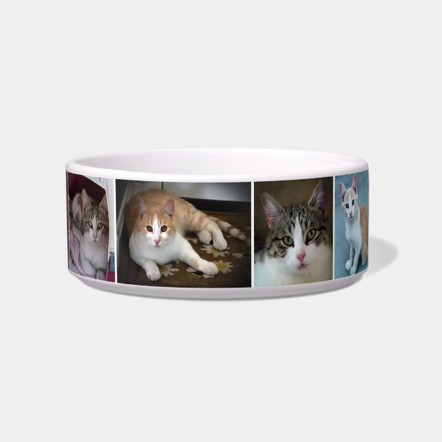 Écuelle Un couple de Kitties (Devant)