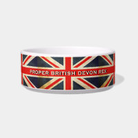 Union Jack en détresse britannique Devon Rex Cat B