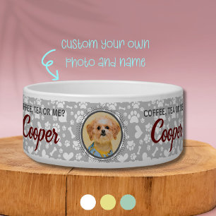 Écuelle Unique boîte d'alimentation pour animaux de compag