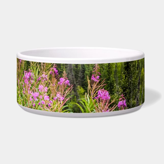 Écuelle Vallée de Matanuska, centre-sud de l'Alaska (Devant)