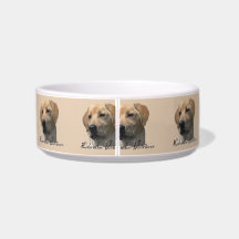 Yellow Labrador Retriever