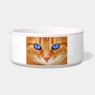 Écuelle Yeux de chat Face maquereau rouge Chat