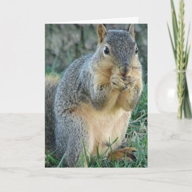 Écureuil adorable Toutes les occasions Carte de vo (Devant)