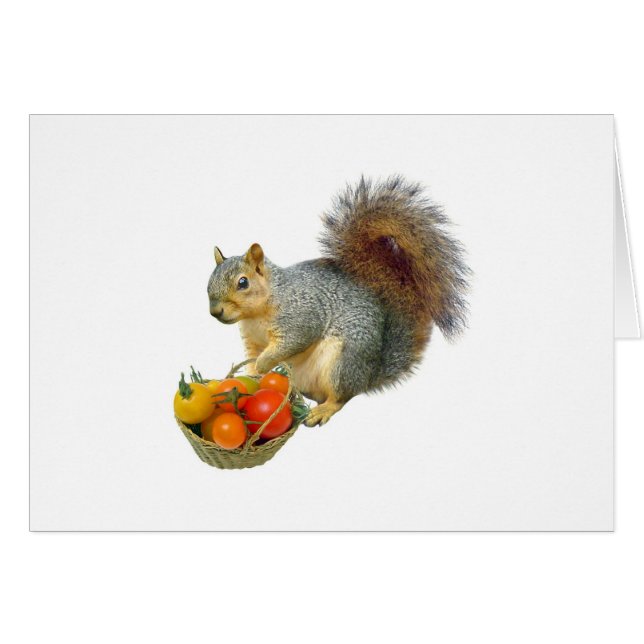 Écureuil avec panier de tomates (Devant horizontal)