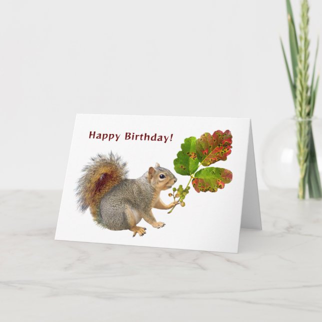Écureuil avec Poison Chêne Carte d'anniversaire (Devant)