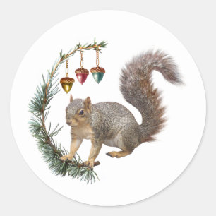 Écureuil avec Stickers Swag Acorn