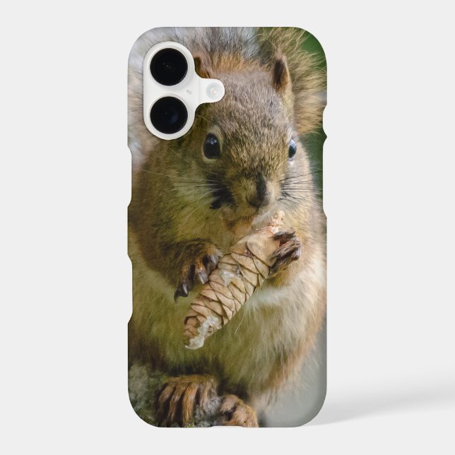 Écureuil Brun Paisible dans la Nature (Verso)