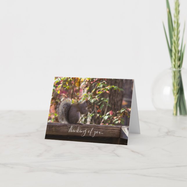 Écureuil Chow Time Penser À Votre Carte (Devant)