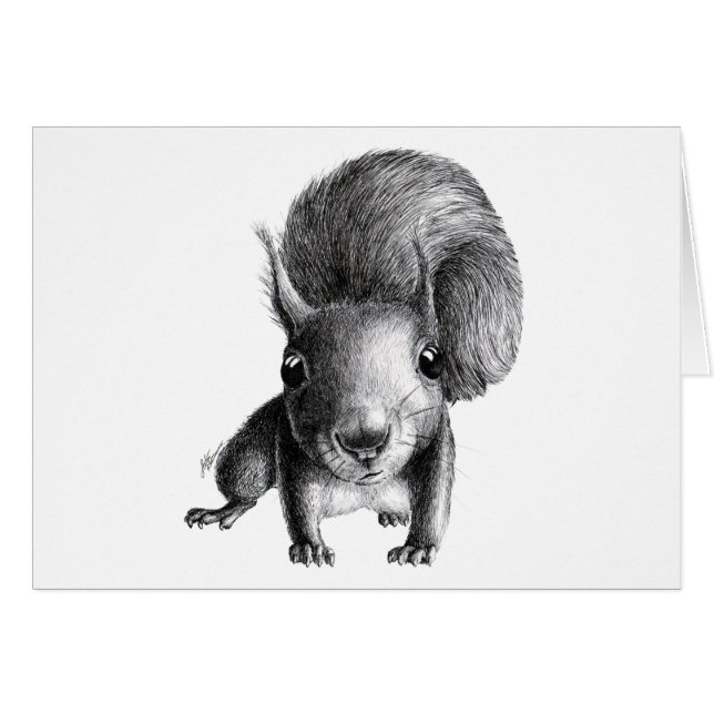 Écureuil curieux (Devant horizontal)