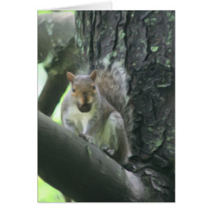 Écureuil dans la carte animale d'art d'arbre