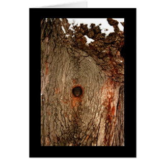 Écureuil dans l'arbre