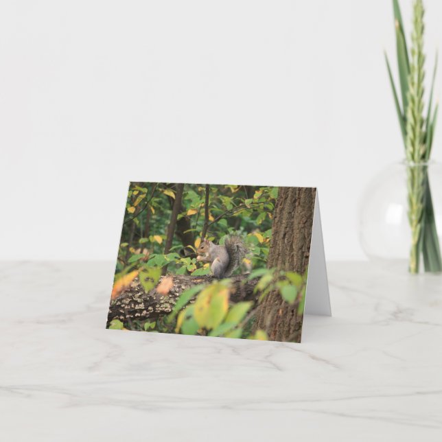Écureuil dans le carte pour notes d'automne (Devant)