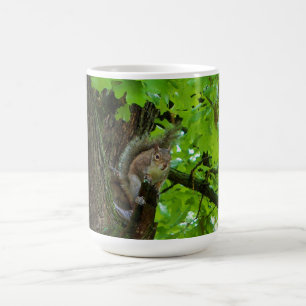 Écureuil dans un arbre chêne - Mug nature
