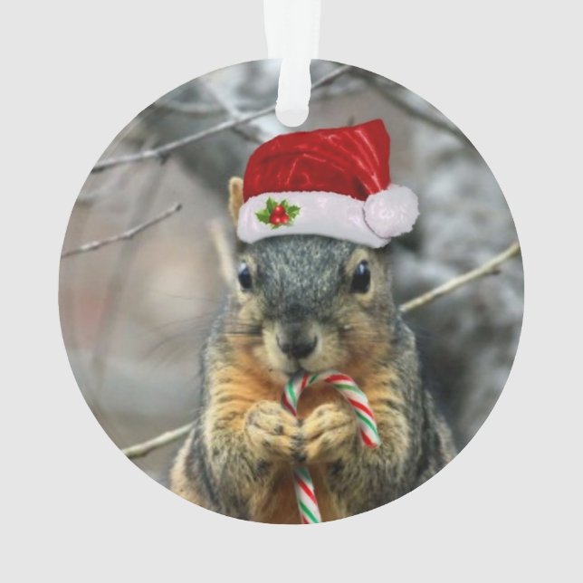 Écureuil de Noël (dos)