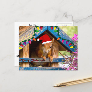 Écureuil de Noël en carte postale de maison