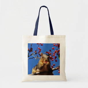 Écureuil du Kansas mangeant du Sac fourre-tout aux