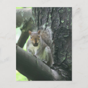 Écureuil en carte postale animale d'art d'arbre