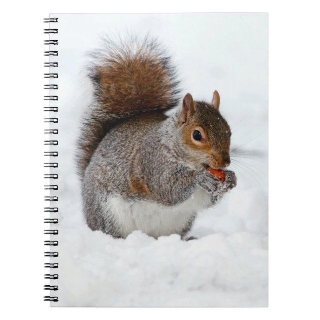 Écureuil en neige avec Carnet de baies (Devant)