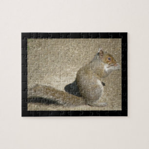 Écureuil faim Horatio Puzzle