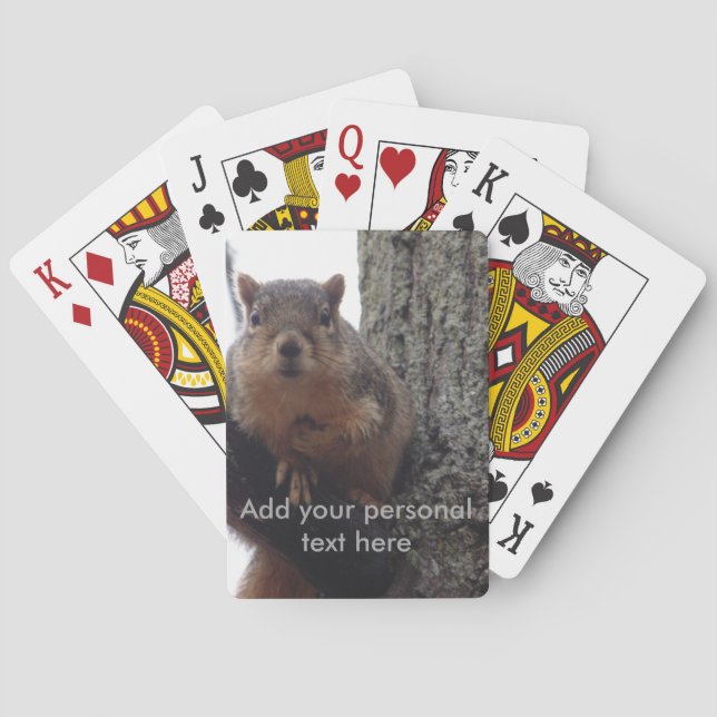 Écureuil regardant vos cartes à jouer (dos)