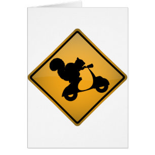 Écureuil sur le scooter