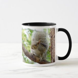 Écureuil sur une tasse d'animal de branche