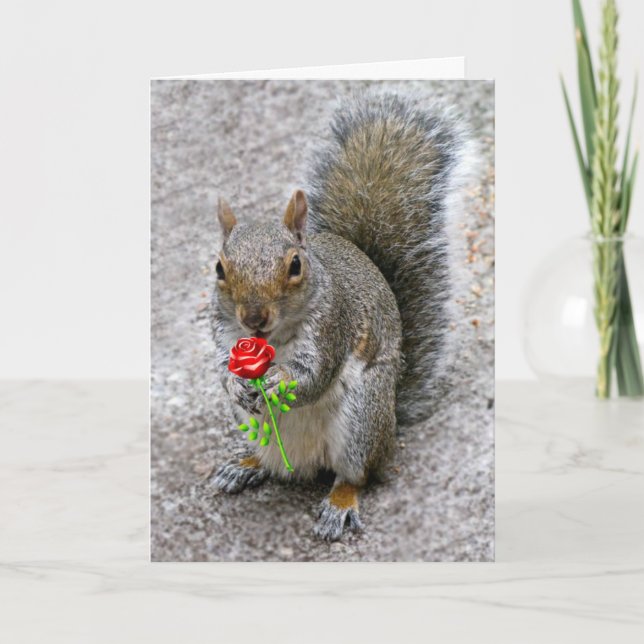 Écureuil tenant une carte de Saint-Valentin de Ros (Devant)