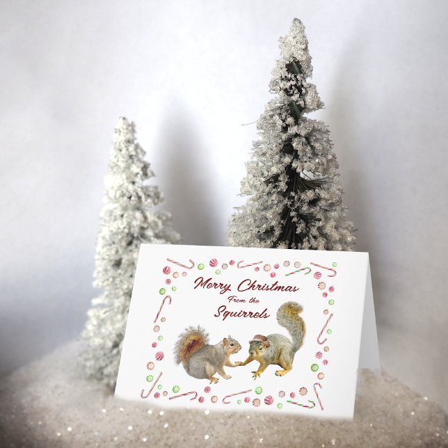 Écureuils à la menthe poivrée Carte de Noël (Créateur téléchargé)