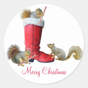 Écureuils en Père Noël Stickers Boot